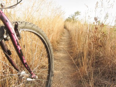 Venedik lagün güneşli gün Bisiklete binme
