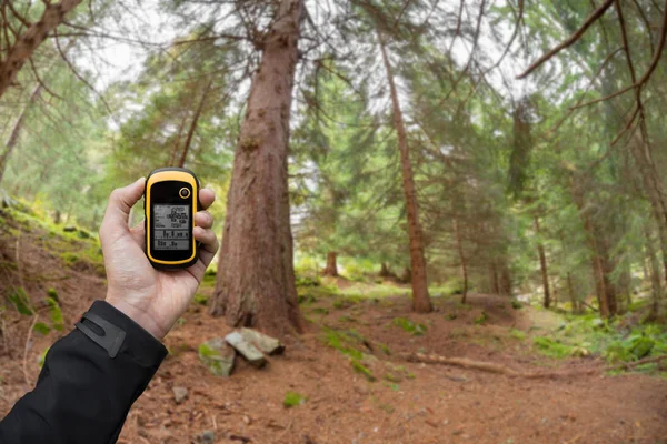 Die richtige Position im Wald über GPS finden (verschwommener Hintergrund)) — Stockfoto