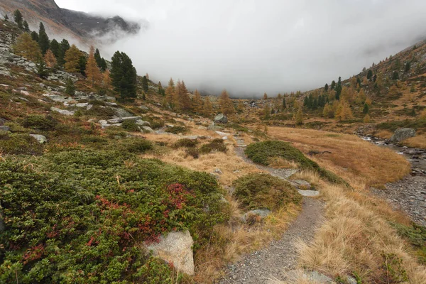 Wandelen op de daling van een bewolkte dag in een bergdal — Stockfoto