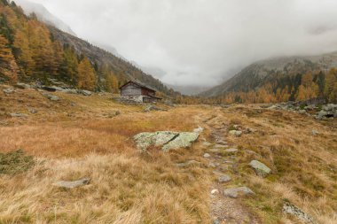 bulutlu bir günde sonbaharda adlı bir dağ vadi yürüyüş