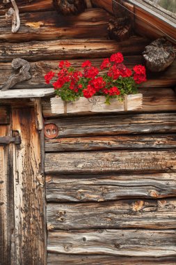 Kırmızı sardunyalar St. Magdalena Val di Funes içinde eski bir evde üzerinden bir geleneksel eski balkon detay