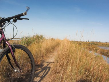 Venedik lagün güneşli gün Bisiklete binme