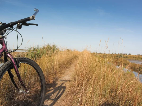 Venedik lagün güneşli gün Bisiklete binme