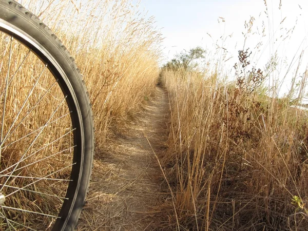 Venedik lagün güneşli gün Bisiklete binme