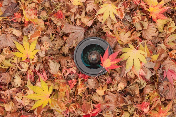 A camera lens over a colored leaves background in autumn