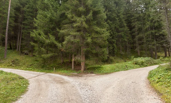 Un solo camino de montaña se divide en dos direcciones diferentes. Es un día nublado otoñal. . — Foto de Stock