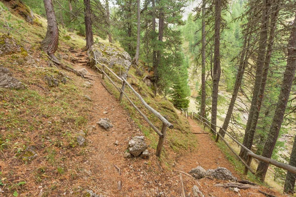 Caminando por un largo camino de montaña tranquilo en Valle di Funes en los Dolomitas italianos — Foto de Stock