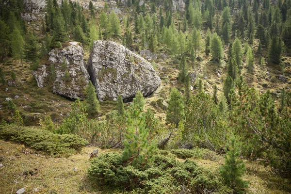 Grande pierre cassée au pied du groupe Odle dans les Dolomites — Photo
