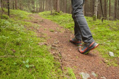 ormanda uzun bir yol yürüme