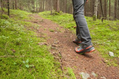 ormanda uzun bir yol yürüme