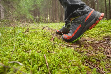 ormanda uzun bir yol yürüme