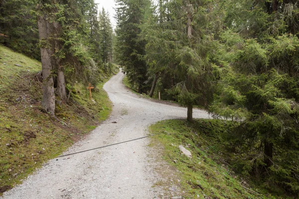 Dzieli pojedynczy górskiej drodze w dwóch różnych kierunkach wewnątrz lasu. — Zdjęcie stockowe
