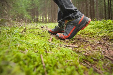 ormanda uzun bir yol yürüme