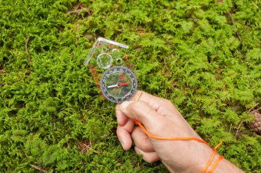 bir kompass ormanıyla doğru pozisyonda bulma