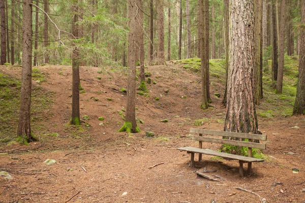 Wooden Bench Forest People — Stock Photo, Image