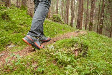 ormanda uzun bir yol yürüme
