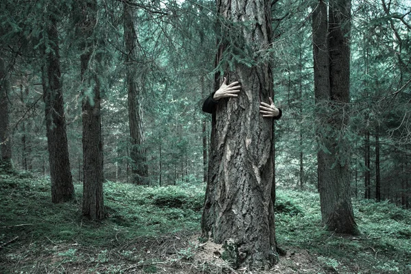 숲에서 나무를 포옹 하는 소년 — 스톡 사진