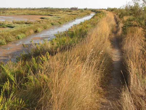 a small path long the saltmarsh near Venice