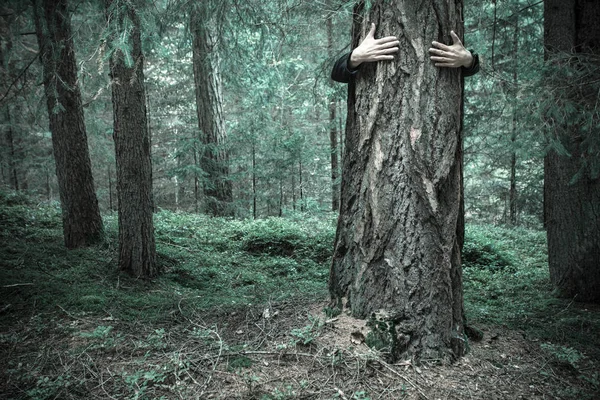 a boy hugging a tree in the woods