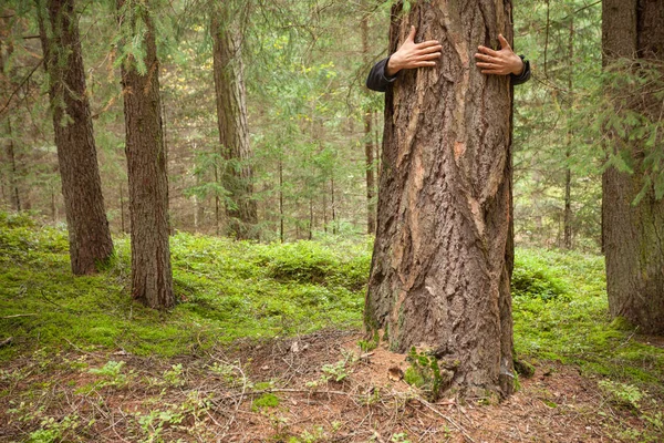 森の中で木を抱いて少年 — ストック写真