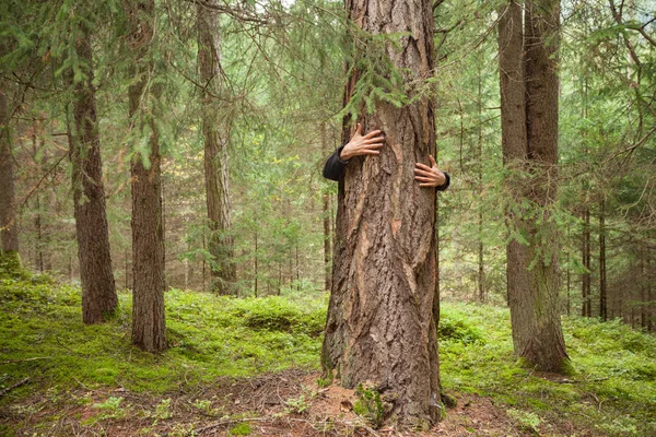 a boy hugging a tree in the woods