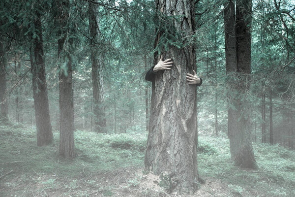 A boy hugging a tree in the woods