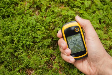 bir gps ile orman doğru pozisyonda bulma