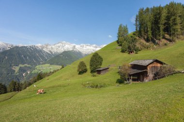Kırsal sahne bir çiftlik arasında bir dağ mera Ahrntal, İtalya