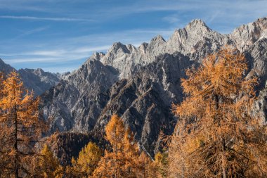 Sonbaharda Dolomitlerdeki Marmarole grubuna sonbahar görünümü