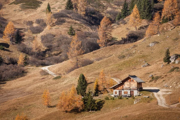 Uma cabine de montanha isolada entre pastagens amarelas no outono entre as Dolomitas italianas — Fotografia de Stock