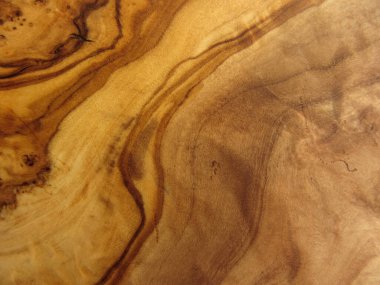 zeytin ağacının dokusu