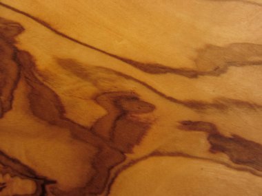 zeytin ağacının dokusu