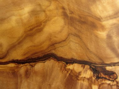 zeytin ağacının dokusu