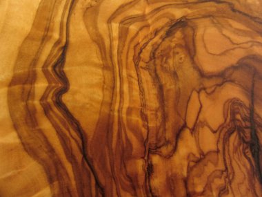 zeytin ağacının dokusu