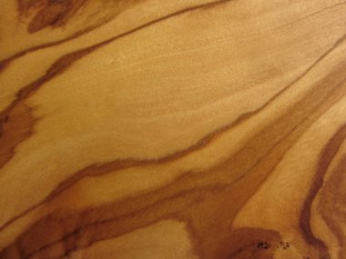 zeytin ağacının dokusu