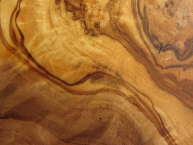 zeytin ağacının dokusu