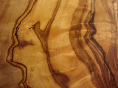 zeytin ağacının dokusu