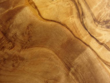 zeytin ağacının dokusu