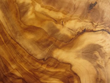 zeytin ağacının dokusu