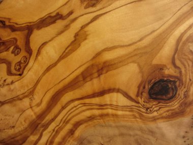 zeytin ağacının dokusu