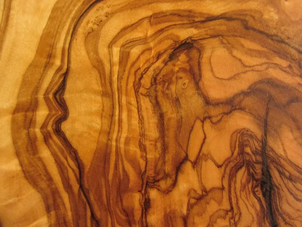 zeytin ağacının dokusu