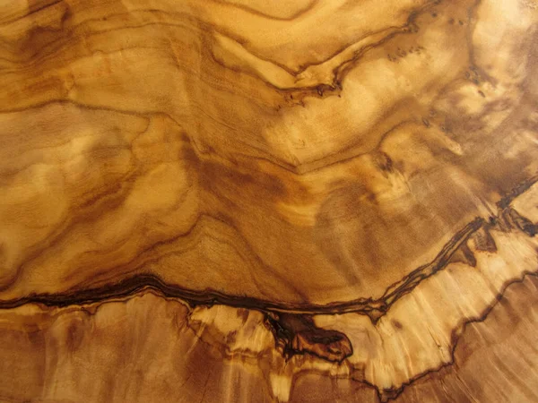 zeytin ağacının dokusu