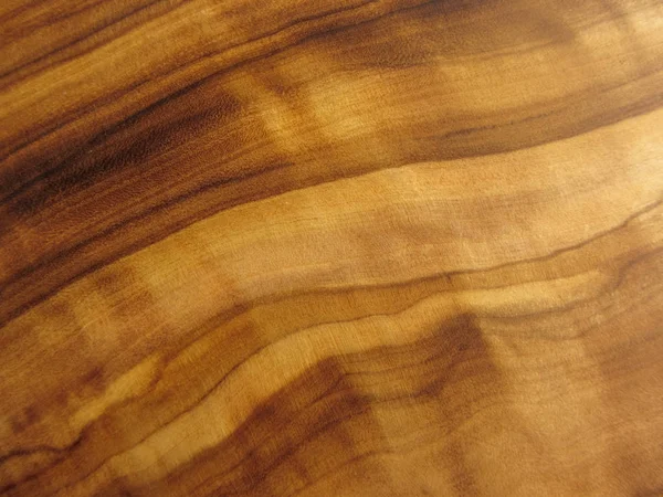 Textura de una madera de olivo — Foto de Stock