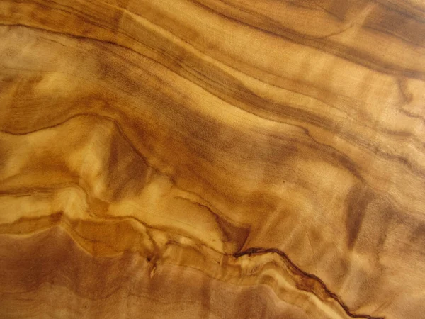 zeytin ağacının dokusu