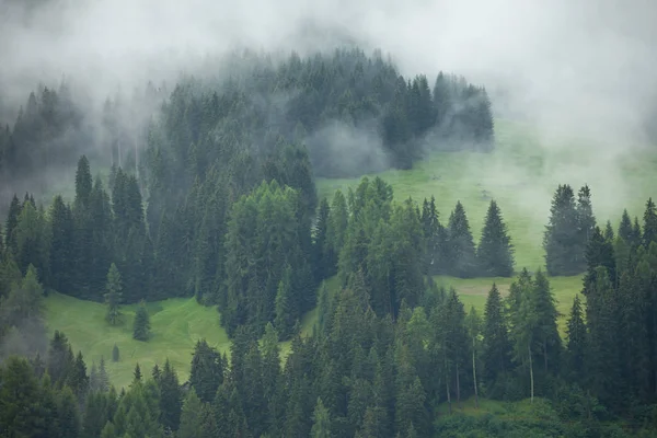 Chmurny dzień nad włoskim lasem górskim — Zdjęcie stockowe