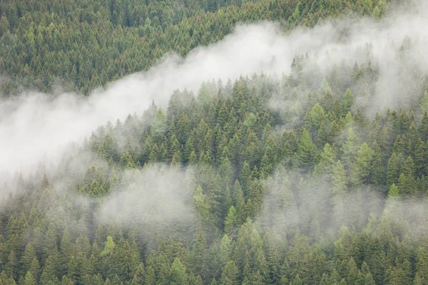 Mglisty dzień nad włoskim lasem górskim — Zdjęcie stockowe