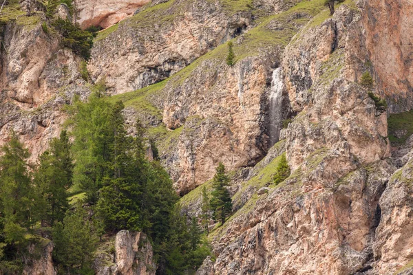 Quelques mélèzes sur un mur de montagne imperméable — Photo