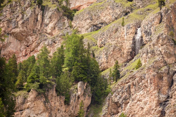Alcuni larici su parete di montagna impervia — Foto Stock