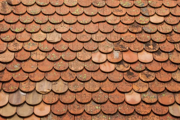 texture on terracotta roof tiles over an Italian mountain Castel in Val Gardena