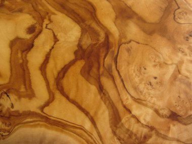 zeytin ağacının dokusu